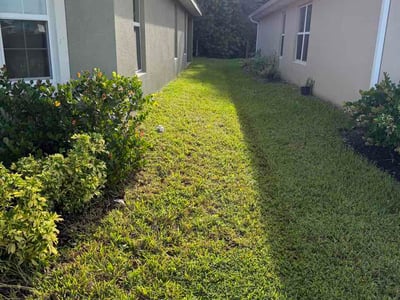 Lawn Care service in Port St Lucie, 34952