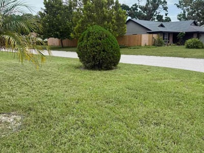 Lawn Care service in Seminole, 33772