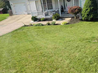 Lawn Care service in McKees Rocks, 15136