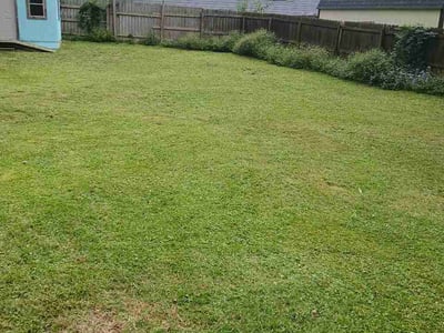 Lawn Care service in East Point, 30344
