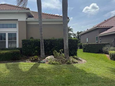 Lawn Care service in Windermere, 34786