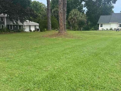 Lawn Care service in Windermere, 34786