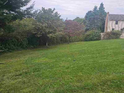 Lawn Care service in Williamstown, 17098