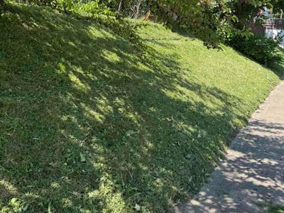Lawn Care service in Tarentum, 15084