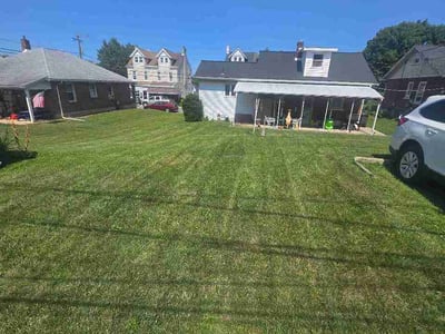 Lawn Care service in Lehigh Valley, 18103