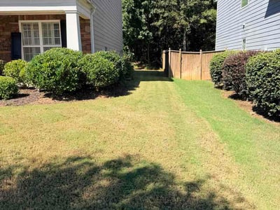 Lawn Care service in Canton, 30114