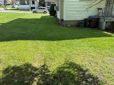Lawn Care service in New Castle, 16101