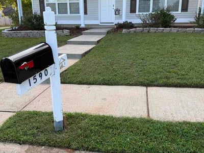 Lawn Care service in Carrollton, 30117