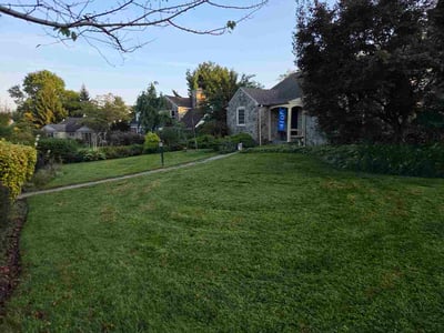 Lawn Care service in Ambler, 19002