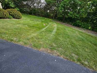 Lawn Care service in Enola, 17025