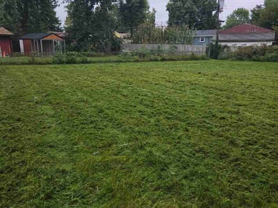 Lawn Care service in New Holland, 17557