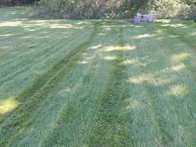 Lawn Care service in Pataskala, 43062