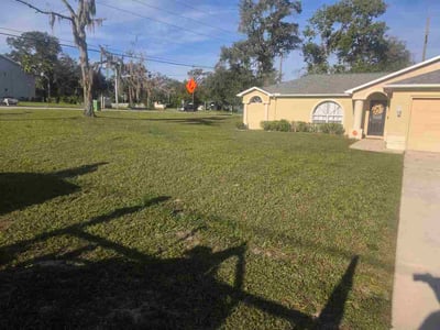 Lawn Care service in Dunedin, 34698