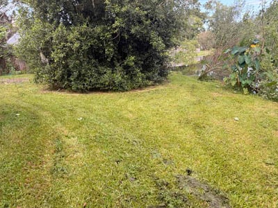 Lawn Care service in Jacksonville, 32202