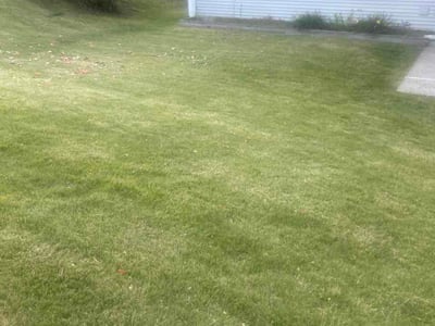 Lawn Care service in Hamden, 06518