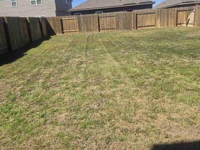 Lawn Care service in Hamden, 06518