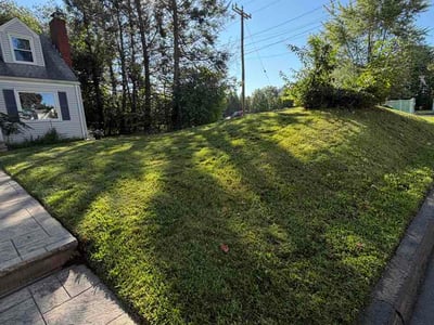 Lawn Care service in Manchester, 06040
