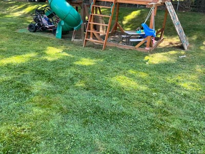 Lawn Care service in Manchester, 06040