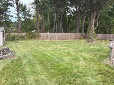 Lawn Care service in Wethersfield, 06109