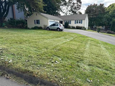 Lawn Care service in Newington, 06111