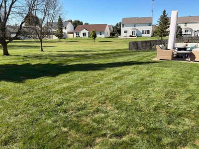 Lawn Care service in Tipp City, 45371
