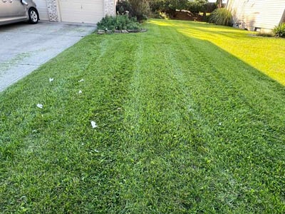 Lawn Care service in Powell, 43065