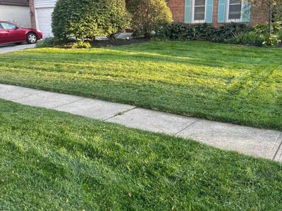 Lawn Care service in Powell, 43065