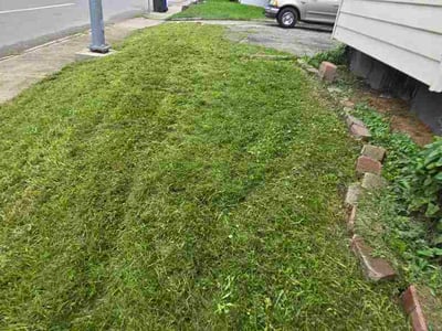 Lawn Care service in Tipp City, 45371