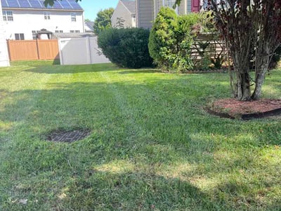 Lawn Care service in Potomac, 20036