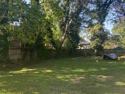 Lawn Care service in Potomac, 20036