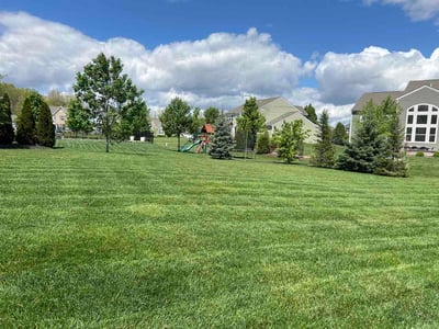 Lawn Care service in New Lexington, 43764