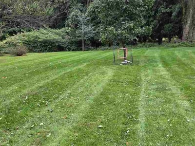 Lawn Care service in North Haven, 06473