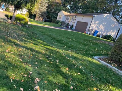 Lawn Care service in Ellington, 06029