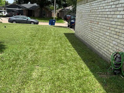 Lawn Care service in Ellington, 06029