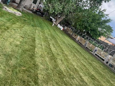 Lawn Care service in Coventry, 06238