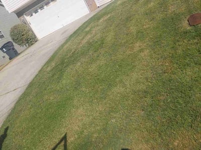 Lawn Care service in Coventry, 06238