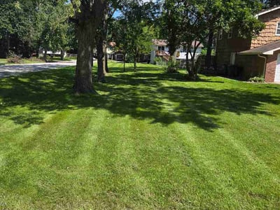 Lawn Care service in Griffith, 46319