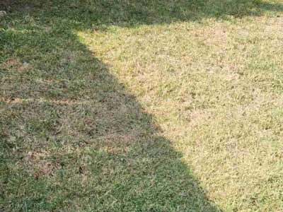 Lawn Care service in Santa Maria, 93454