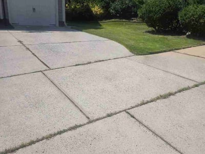 Lawn Care service in San Rafael, 94901