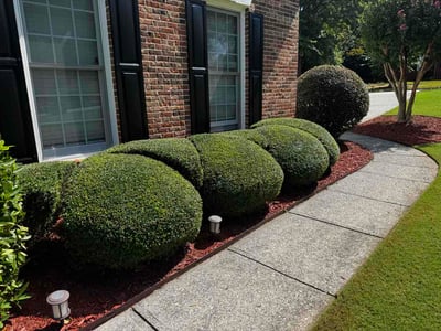 Lawn Care service in Clinton, 06413