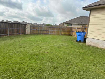 Lawn Care service in San Rafael, 94901