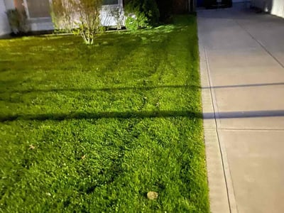Lawn Care service in Aptos, 95003