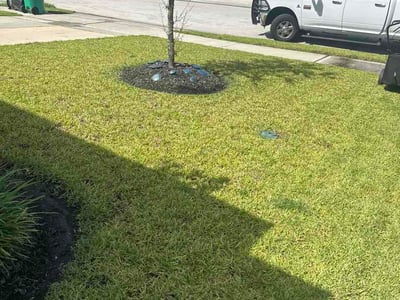 Lawn Care service in Tolland, 06084