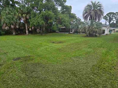 Lawn Care service in Port Orange, 32127