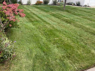 Lawn Care service in Grand Haven, 49417