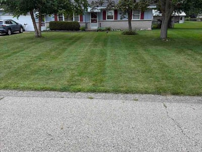 Lawn Care service in Grand Haven, 49417