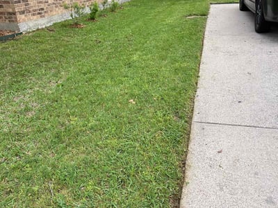 Lawn Care service in Salinas, 93901