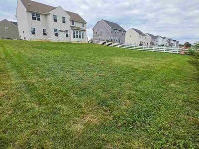 Lawn Care service in Millsboro, 19966