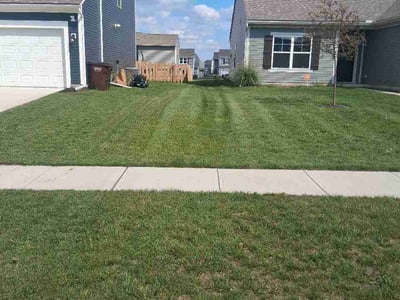 Lawn Care service in Cape May, 08204