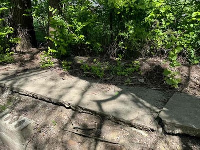 Lawn Care service in Cape May, 08204